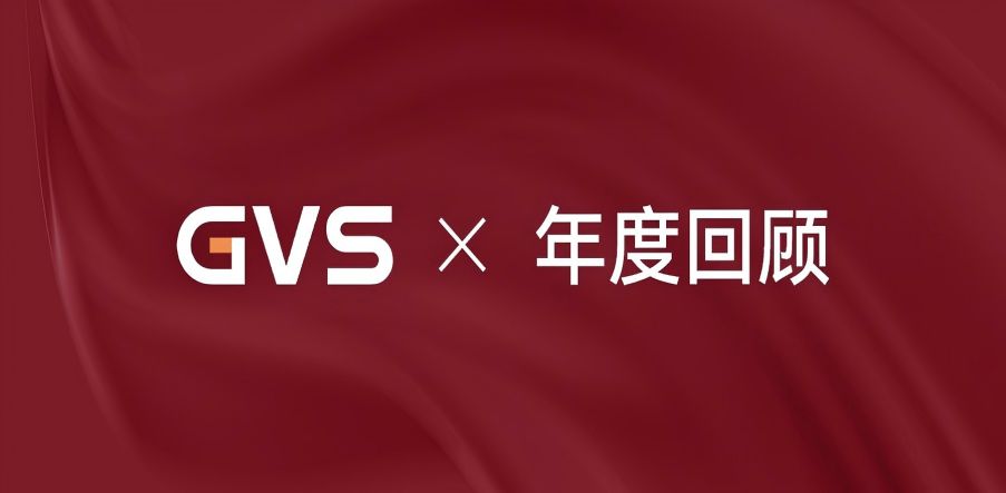 GVS 2024年終總結(jié)，請您查收
